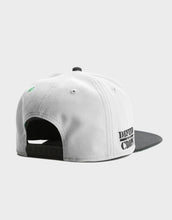 Load image into Gallery viewer, Protect and Defend Your Crops Custom Sights Snapback
