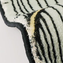 Load image into Gallery viewer, Bank Roll Plush Rug
