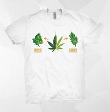 Load image into Gallery viewer, Indica Vs. Sativa Tshirt
